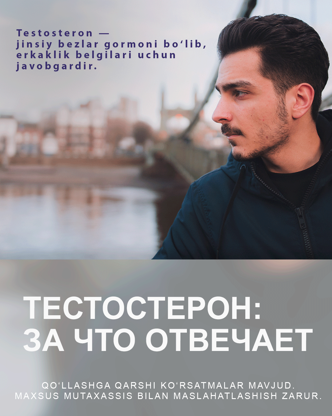 Тестостерон: за что отвечает